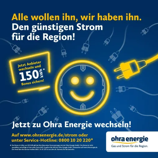 Bild: Stromverbraucher können jetzt auf regionale Servicequalitäten zurückgreifen