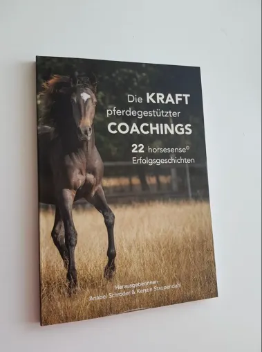 Die Kraft pferdegestützter Coachings - 22 horsesense Erfolgsgeschichten - Bild: Die Kraft pferdegestützter Coachings - 22 horsesense Erfolgsgeschichten -