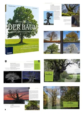 Bild: Franzis Fotobuch: Der Baum - Naturfotografie der Faszination des Lebens