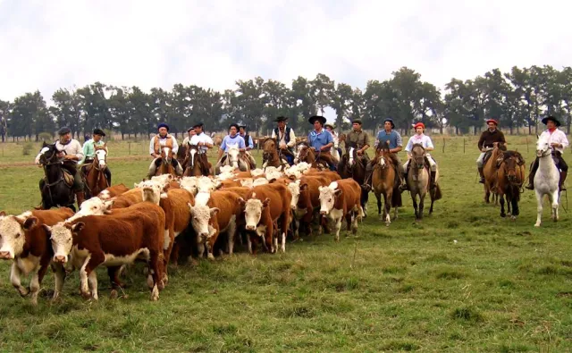 Bild: Argentinien - Wo störrische Esel im Gefängnis landen