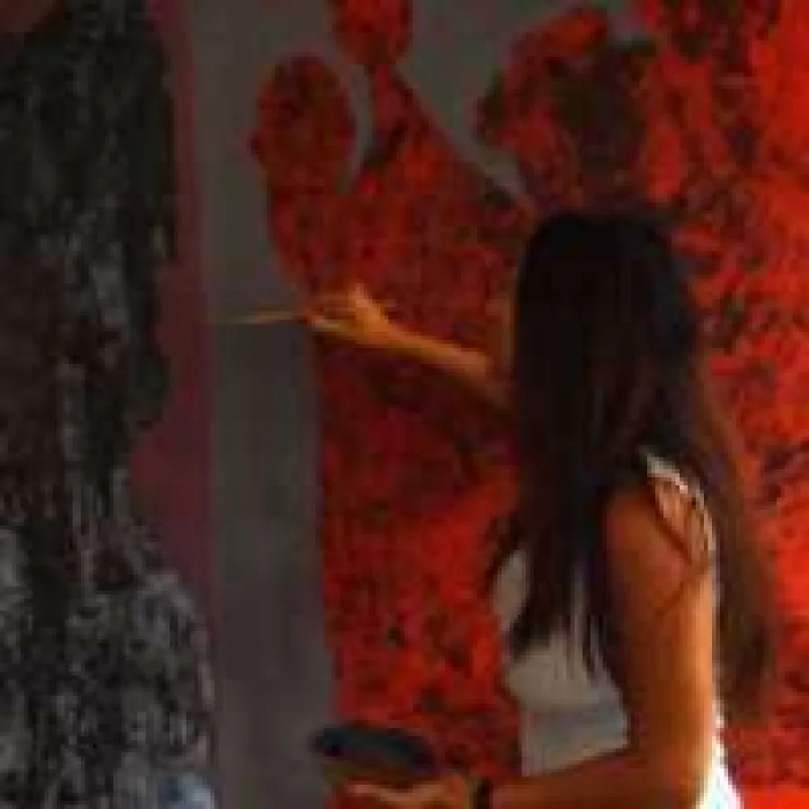 Die Künstlerin in Ihrem Element