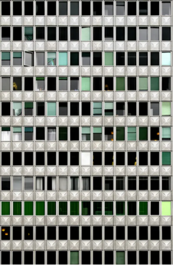 Robert De.Mik  PHAENOMEN II   180x240cm 2005