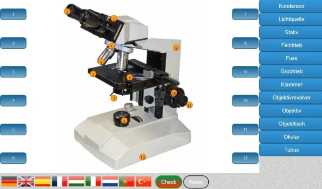 Bild: Aufbau Lichtmikroskop lernen - kostenlose Software