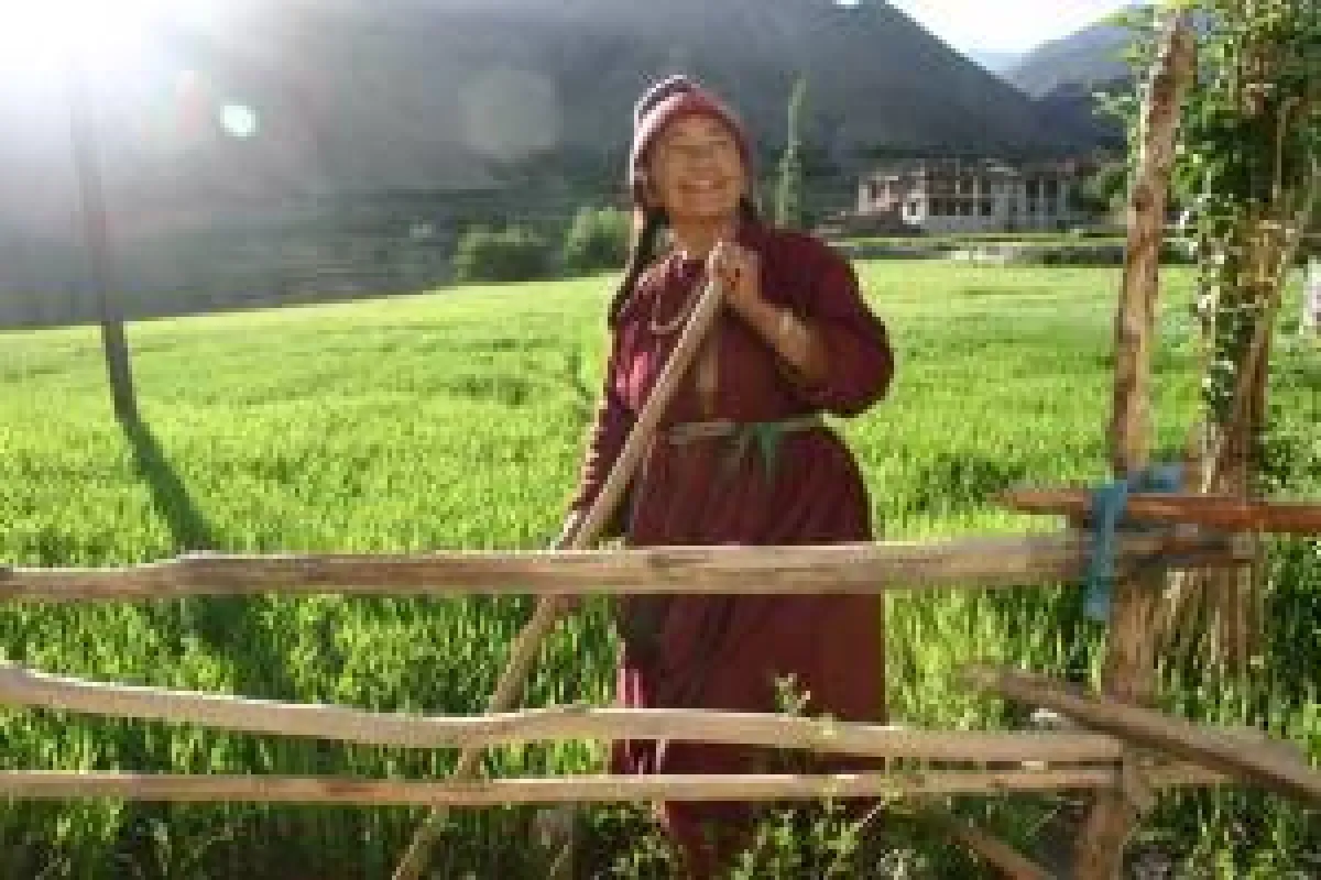 Bäuerin, Ladakh; Foto: Wikinger Reisen. Abdruck honorarfrei, bitte nur mit Quellenangabe. Foto senden wir gern in hoher Auflösung zu, bitte per Mail bei der Pressestelle anfordern.