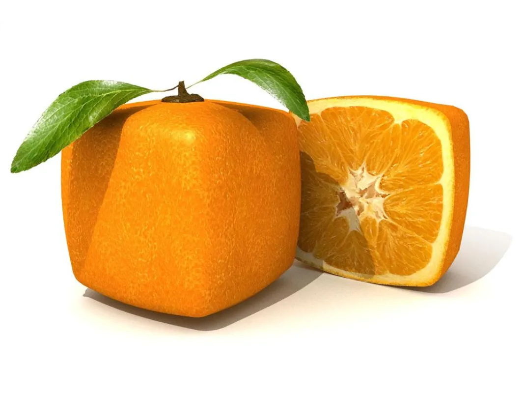 Vitamin C für Immobilien - einfach günstig Immobilien mieten und vermieten dank casolino-Prinzip