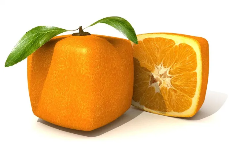 Bild: Immobilien suchen und anbieten mit „Vitamin C“