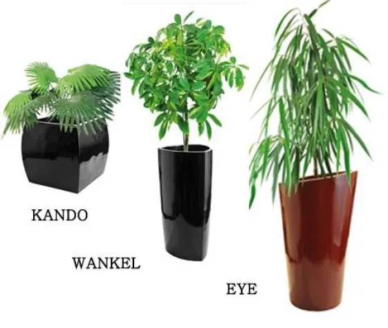 Bild: Pflanzkübel aus Fiberglas im Hochglanz-Design wieder lieferbar