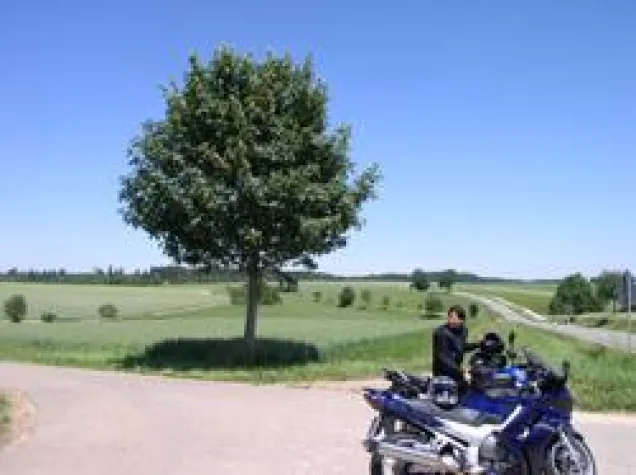 Bild: Biker helfen Kindern