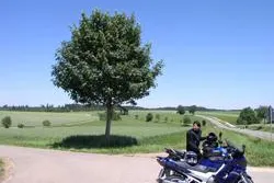 Bild: Biker helfen Kindern