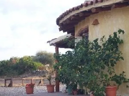 Bild: Herbstliches Last-Minute für ein Biolandgut auf Sardinien