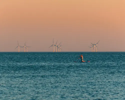 Bild: Vom Winde verweht 