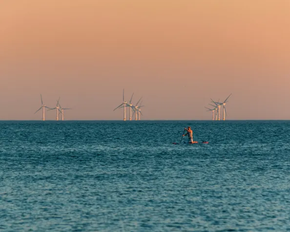 Bild: Vom Winde verweht 