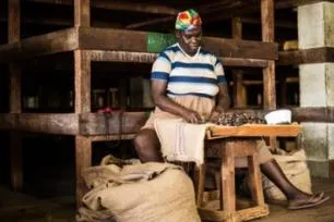 Bild: Weihnachtsdüfte aus der Karibik – Viele Festtags-Aromen stammen von der Gewürzinsel Grenada