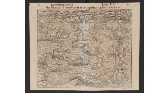 Bild: Studie: Qualifizierung und Re-Skilling entscheiden über Deutschlands Innovationsfähigkeit