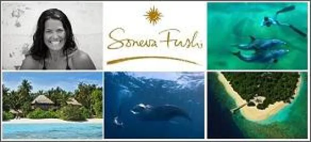 Bild: Auf Tuchfühlung mit Manta und Walhai - Freediving-Kurse mit Rekordtauchern auf Soneva Fushi