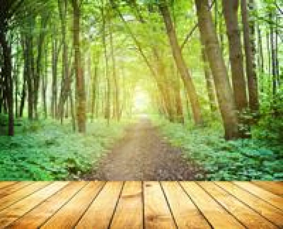 Foto: SkyLine – Fotolia.com