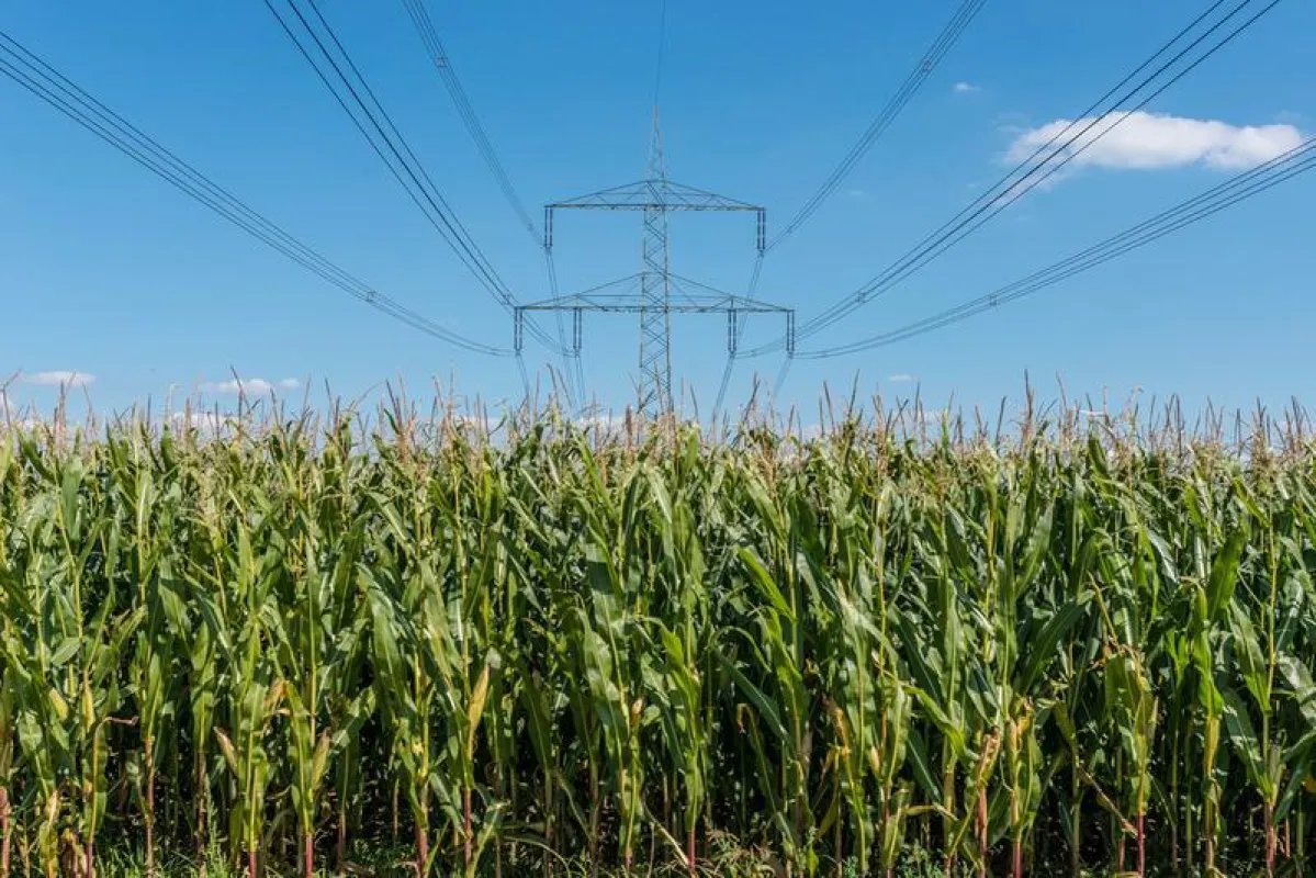 Drop-in Kraftstoff aus Biomasse und elektrischer Energie. (UFZ / André Künzelmann)