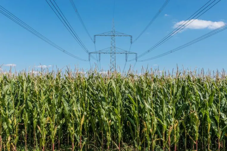 Bild: Kraftstoff aus Abfällen und Elektrizität?