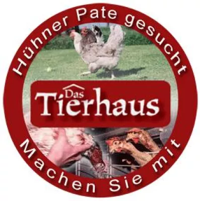 Bild: Tierhaus e.V. sucht Paten für gerettete Hühner