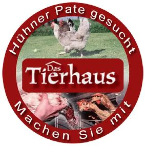 Bild: Tierhaus e.V. sucht Paten für gerettete Hühner