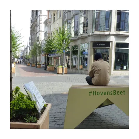 Hovens Beet wird abgeräumt Bild: Hovens Beet wird abgeräumt