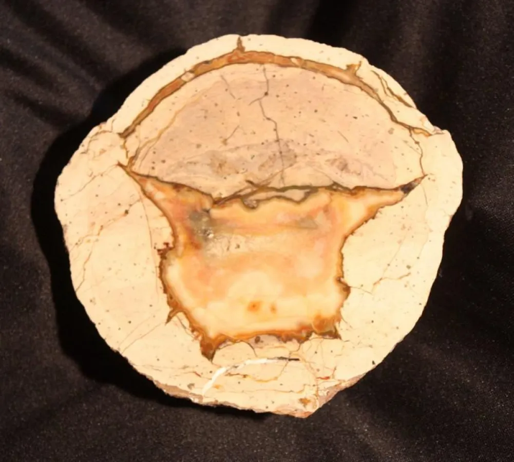 Achat, Fundort Agate Creek, Australien