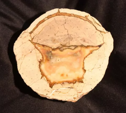 Bild: „Augite“ – Die Welt der schönen Steine