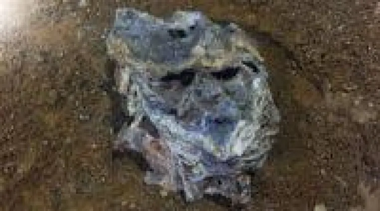 Bild: Trevali Mining: Sinkende Kosten lösen Kursexplosion aus