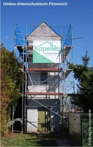 Umbaubeginn für Artenschutzturm Firmenich, Kreis Euskirchen NRW Bild: Umbaubeginn für Artenschutzturm Firmenich, Kreis Euskirchen NRW
