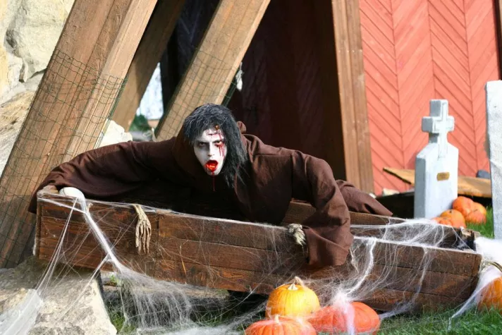 Bild: Halloween-Nights im Heide Park Resort