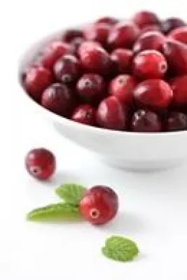 Bild: Cranberry: Ernährungsphysiologisch förderlich zur Unterstützung der Harnwegsgesundheit
