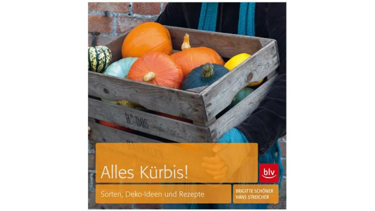 Alles Kürbis! - leckere Ideen rund um den Kürbis