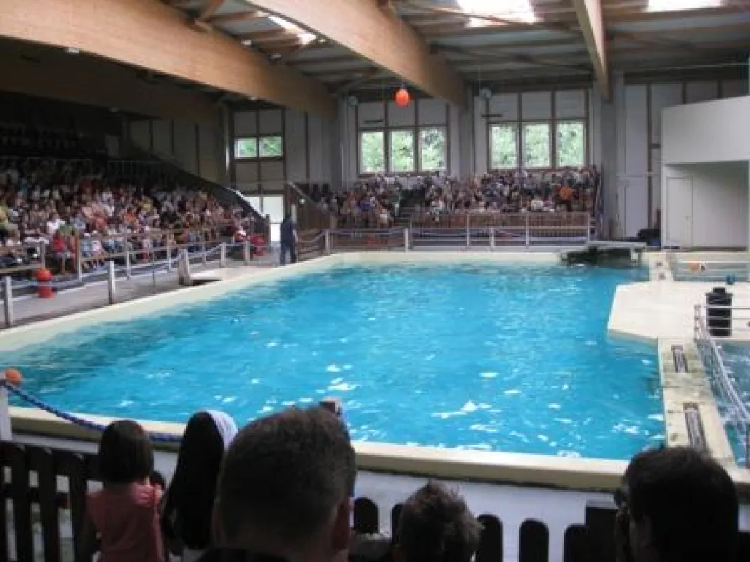 Delfinarium Münster in der Kritik des WDSF