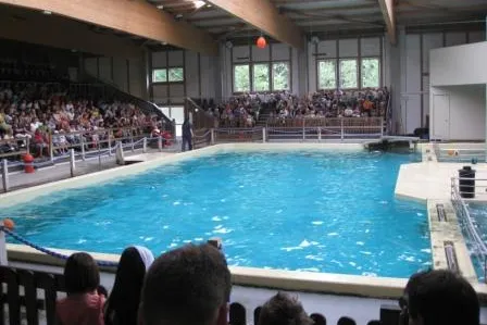 Bild: Datenschutzbeauftragte rügt Stadt Münster wegen Delfinariumsauskunft