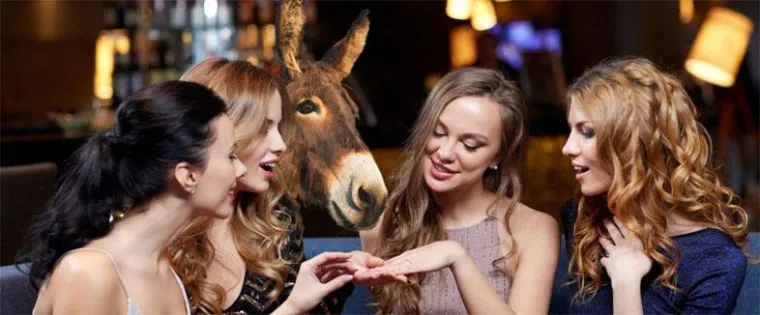 Bild: Dinky Donkey - Designschmuck für Individualisten