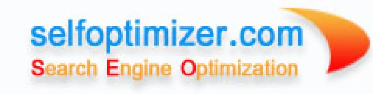 Bild: e-Marketing mit System - Selfoptimizer