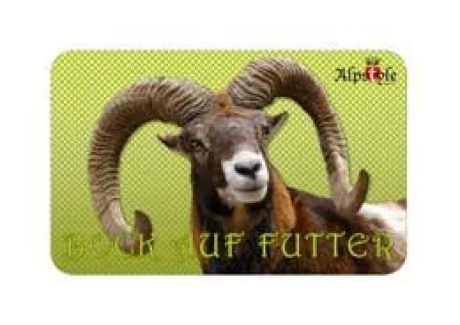 Bild: Kult- und Lifestylemarke „Blümchen & Ko“ – ab sofort bei zauber-garten.de erhältlich