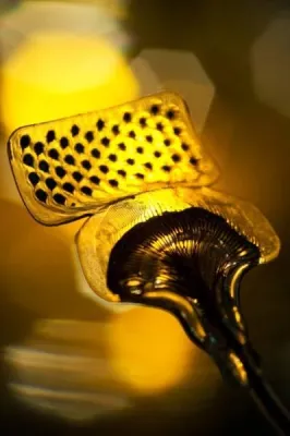 Bild: Kölner Volontärin gewinnt Technikjournalismuspreis PUNKT 2010 – Preisverleihung mit Kanzlerin Angela Merkel