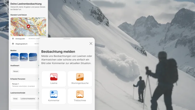 Bild: Neu bei White Risk: Lawinen melden leicht gemacht 