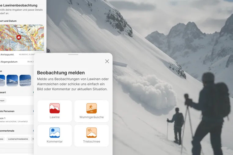 Bild: Neu bei White Risk: Lawinen melden leicht gemacht 