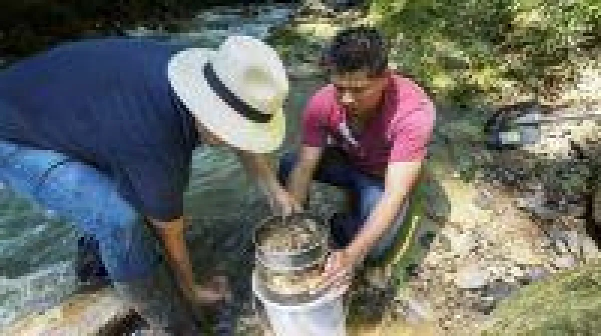 Quelle: Aurania Resources