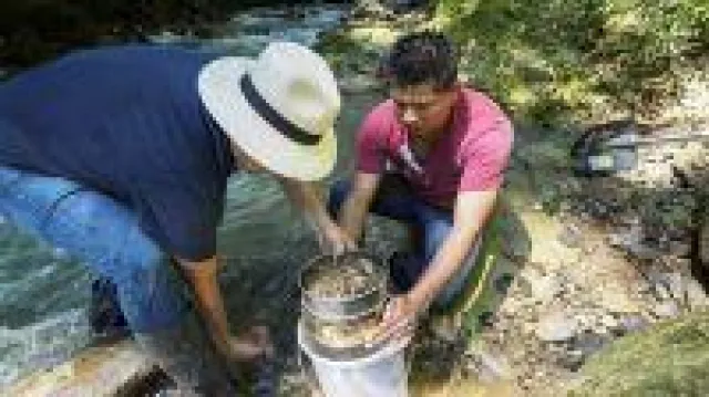 Bild: Wie Edelmetalle um die Welt reisen