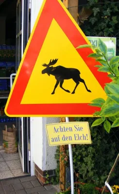 Bild: Mit einem Elch, Engagement und viel Fantasie zum Erfolg