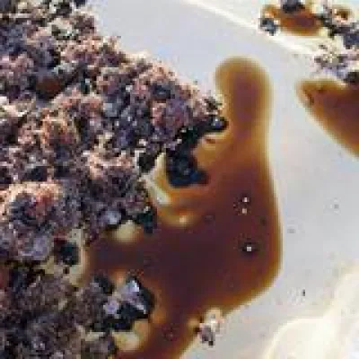 Bild: Alptraum Ölbeseitigung: Profi-Lösungen von X-Oil® bieten rasche Ölaufnahme und geringe Entsorgungskosten