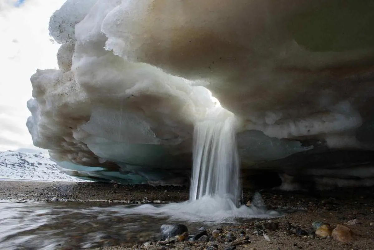 Frühlingseinzug und Schnee- bzw. Gletscherschmelze am Kongsfjord (Küste südlich Feiringfjellet) Spitzbergen.  (Foto: Alfred-Wegener-Institut / René Bürgi)