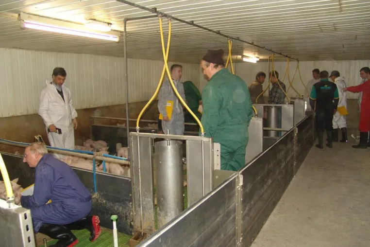 Bild: AVA - SEMINAR - VERFEINERUNG DER TIERBEOBACHTUNG