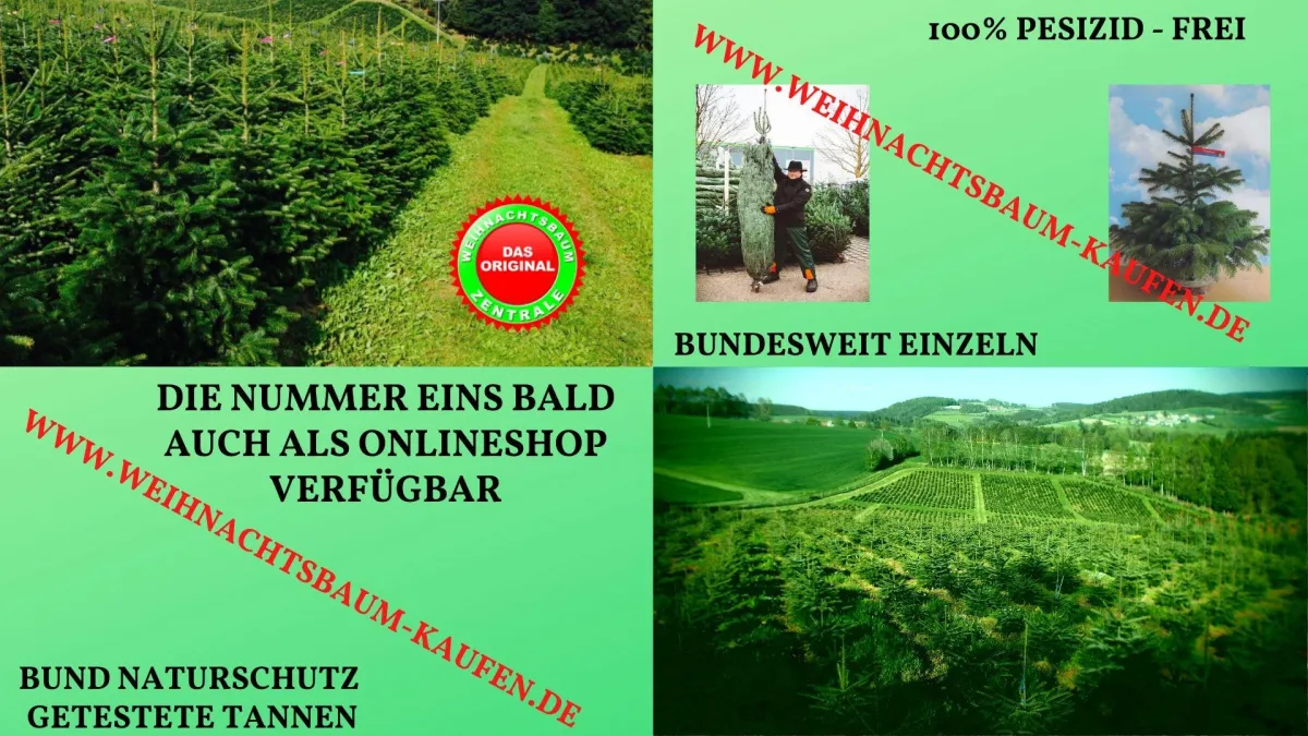 Weihnachtsbaum-Zentrale/Zentrale Auskunftsstelle für Weihnachtsbaum-Produzenten & Wiederverkäufer
