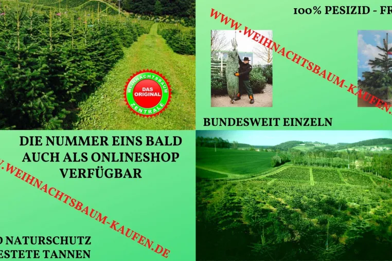 Bild: Die Weihnachtsbaum-Zentrale reagiert mit sozialem Engagement in der Corona-Kriese