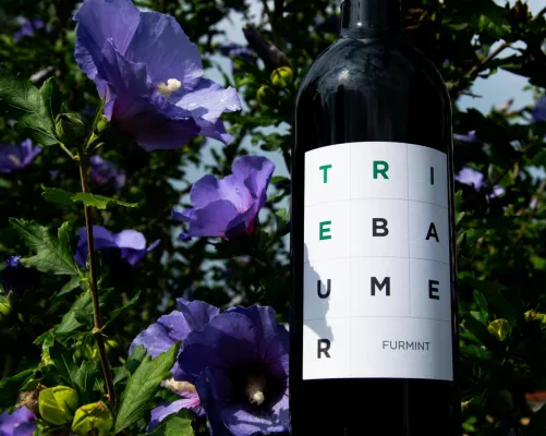 Flüssiges Gold gefunden Bild: Flüssiges Gold gefunden