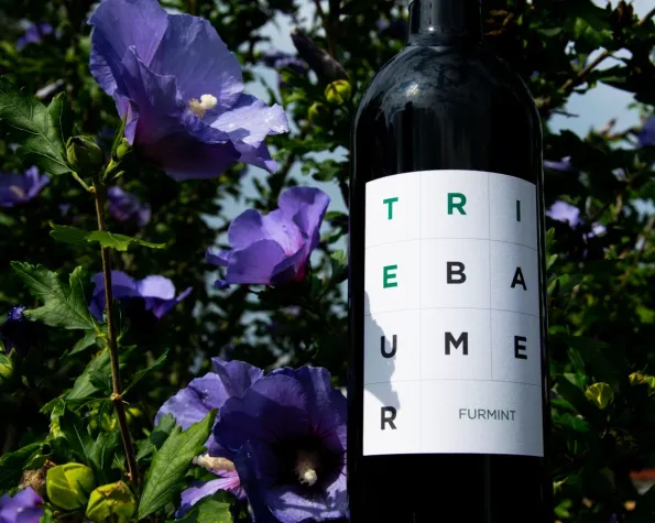 Bild: Flüssiges Gold gefunden